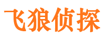 桐柏市婚姻出轨调查